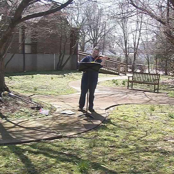 VIOLINS FOR SENIORS .jpg